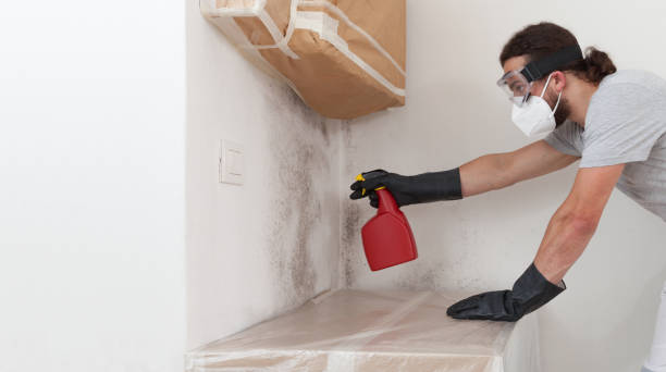 Professional Crawl Space Mold Remediation technician working in Hopewell, NJ