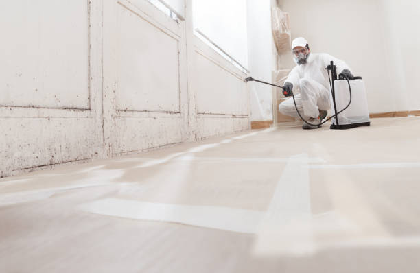 24/7 Emergency Crawl Space Mold Remediation experts in Hopewell, NJ
