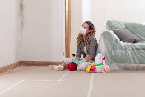Reliable Crawl Space Mold Remediation contractor in Hopewell, NJ by Mold Remediation HQ