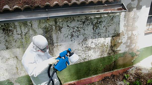 Top rated local Crawl Space Mold Remediation specialists in Hopewell, NJ